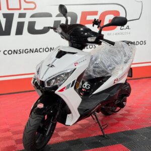 BERA RUNNER 150 2025